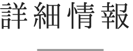 詳細情報